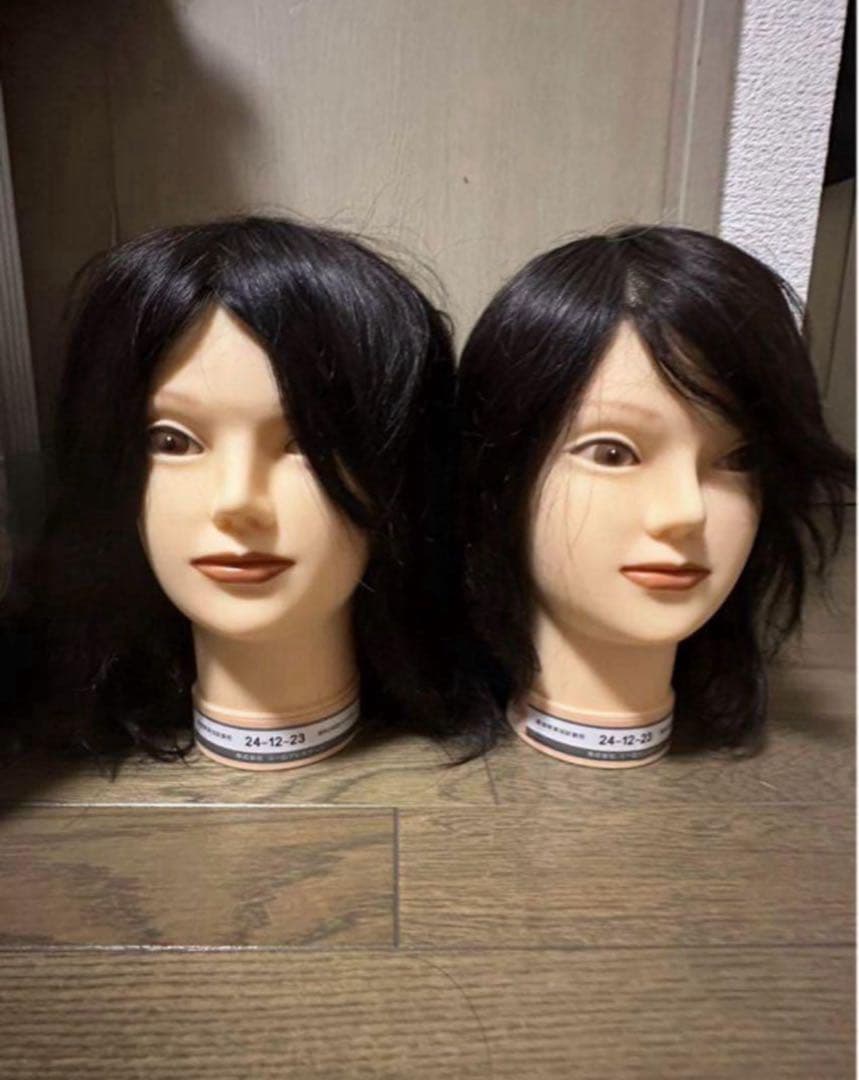 最終値下げ　美容師　国家試験　本番用ウィッグ4体 カットウィッグ 美容師 マイスター 国家試験 練習 美容師国家試験 練習