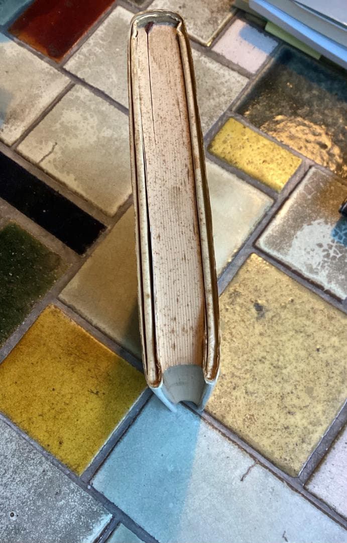 ウニカ・チュルン 『 ジャスミンおとこ ー分裂病女性の体験の記録 』 初版