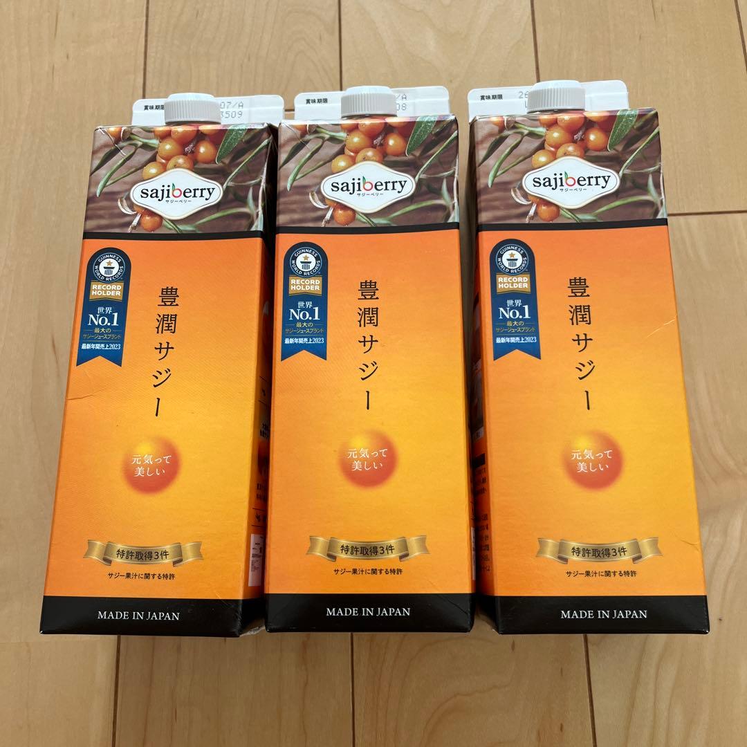 豊潤サジー 1000mL 3本セット 豊潤サジー 1000ml サジージュース【紙パックタイプ】_M327-001 / 宮崎