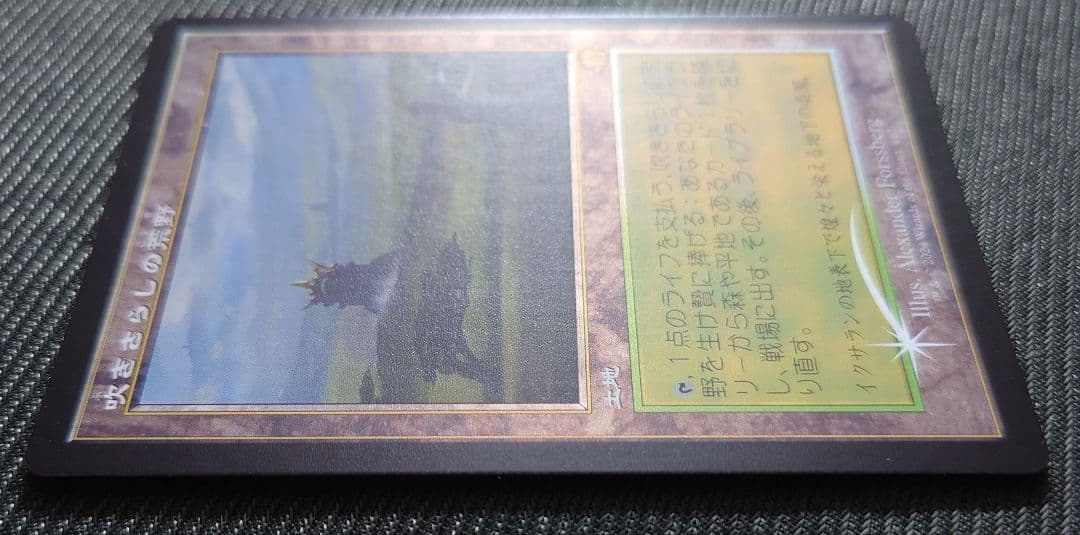 mtg 国産プレブ産 吹きさらしの荒野 旧枠 FOIL 日本語版 mh3 - メルカリ