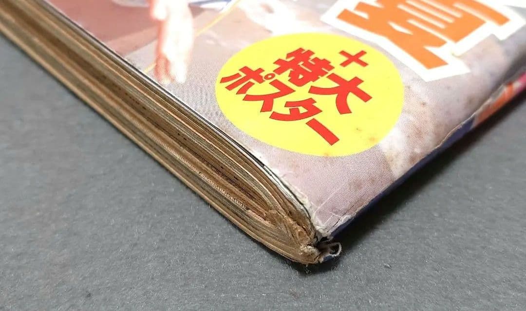 週刊ヤングサンデー2006年15号『舐め女』読切/伊藤潤二/小松彩夏ピンナップ付