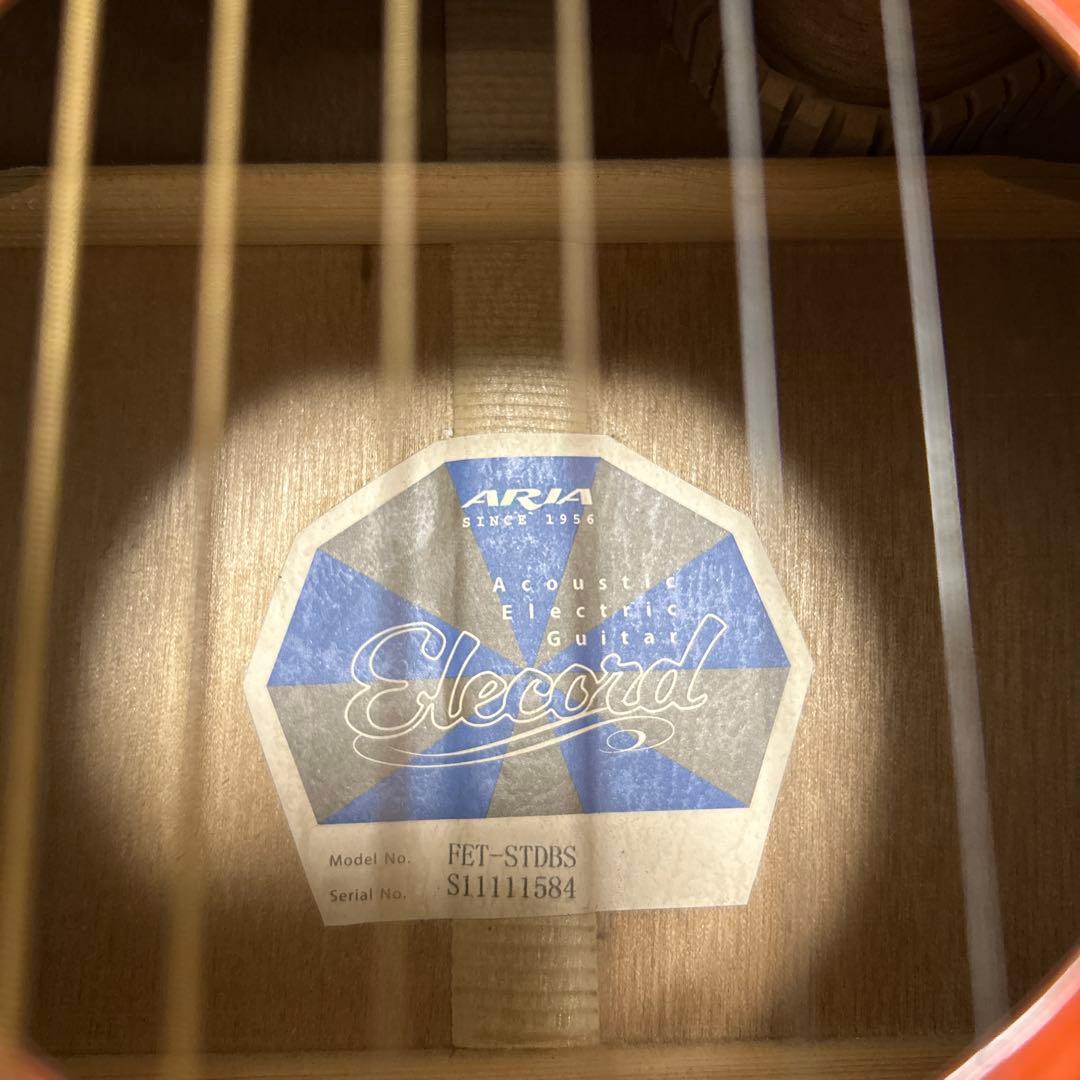 Aria エレクトリックアコースティックギター カバー、ピック付き