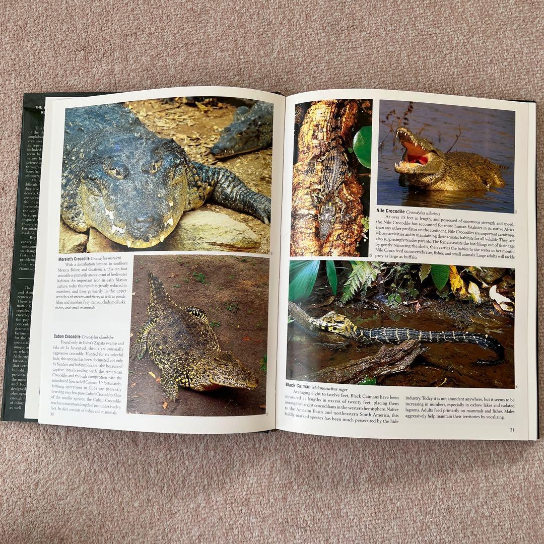 洋書 Reptiles & Amphibians 爬虫類、両生類 - メルカリ