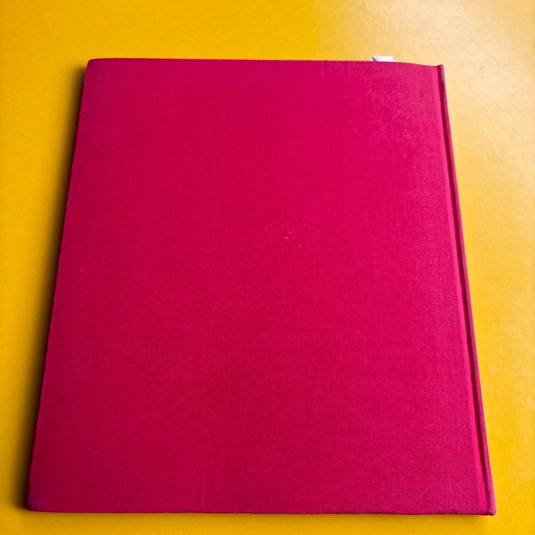 Tribe 藤井俊写真　北村道子構成衣装　朝日出版社