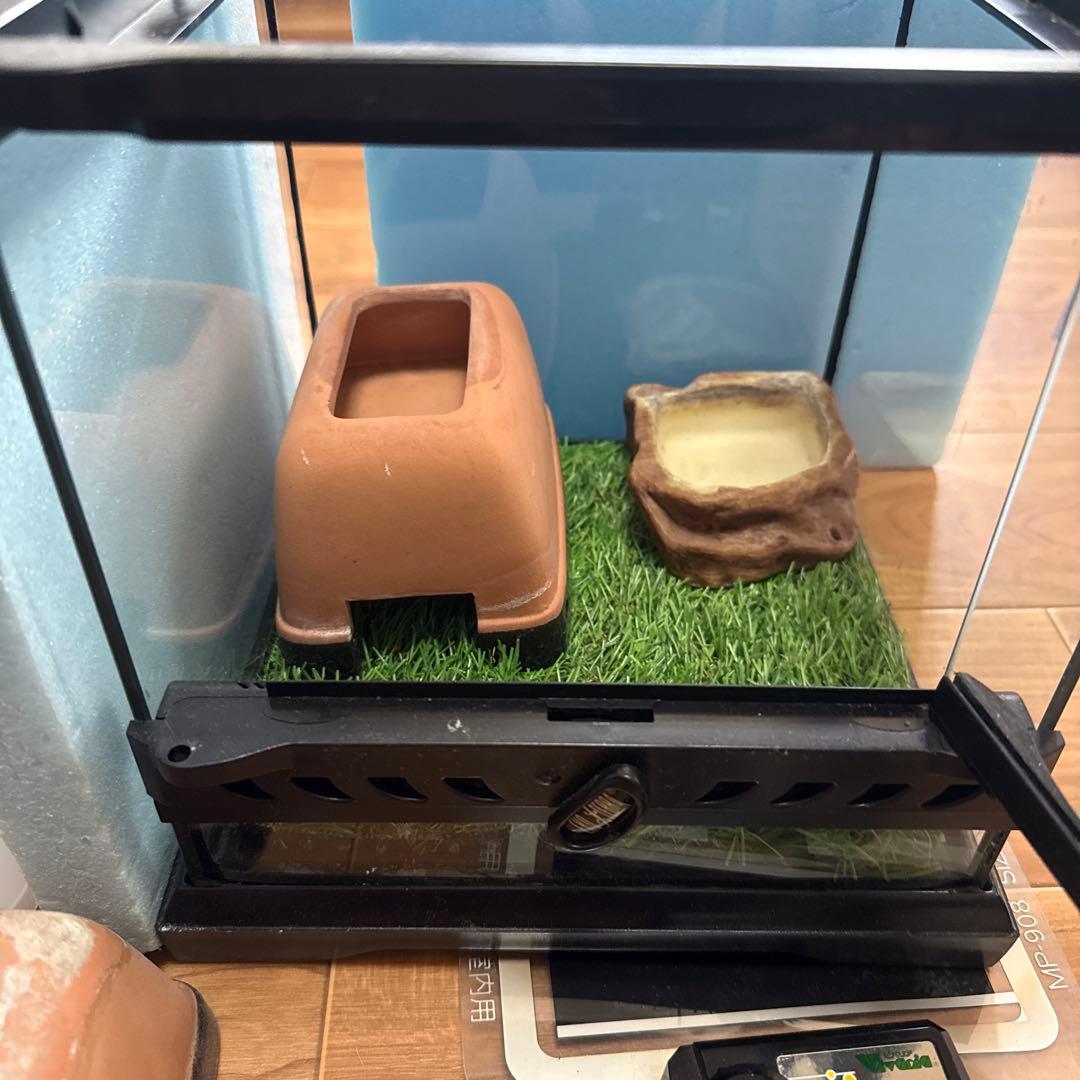 GEX EXOTERRA グラステラリウム ナノキューブ レオパ飼育セット - メルカリ