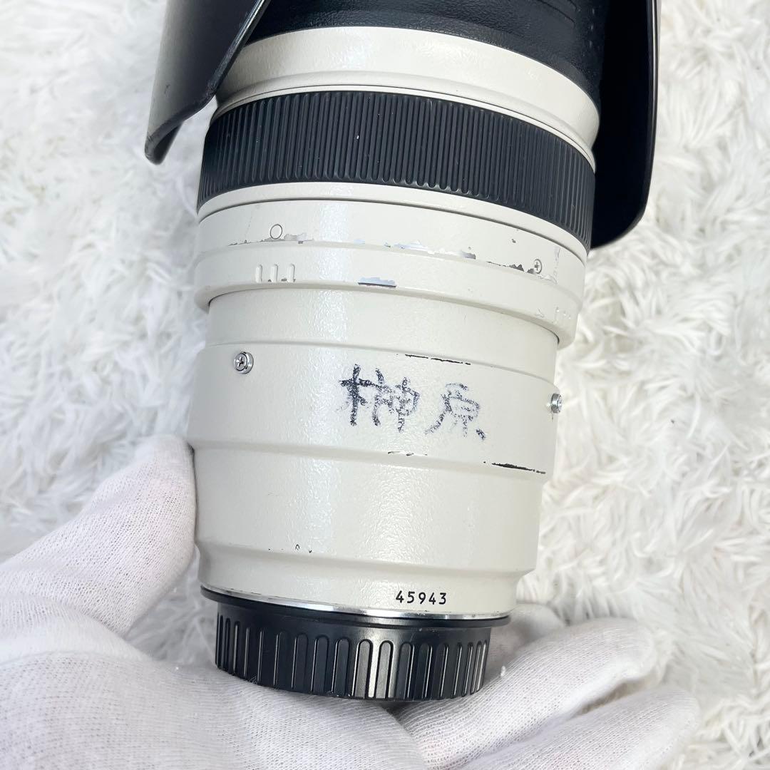 canon キャノン EF35-350mm F3.5-5.6 L USM