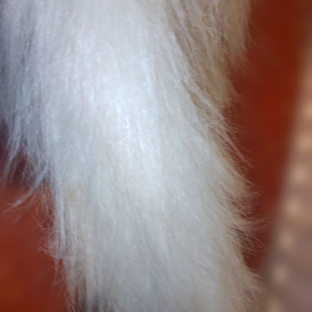 三英グレイスフル ペルシャ猫 日本製 アクリル 大型 ラスト - メルカリ