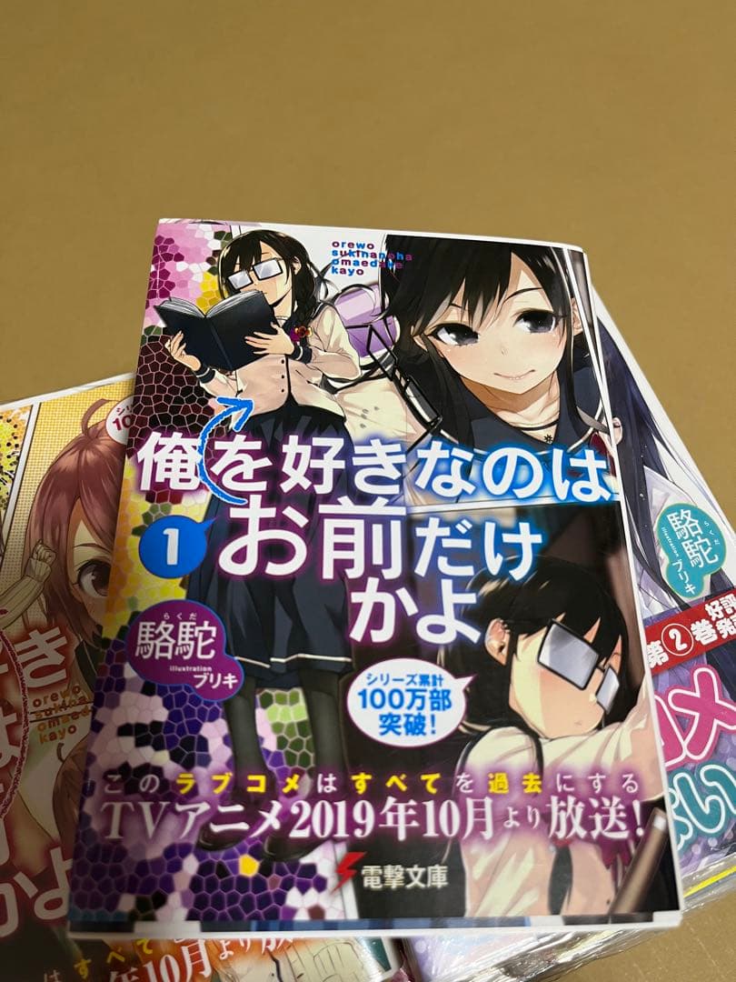 【新品・未開封】俺を好きなのはお前だけかよ 1～16巻セット ライトノベル