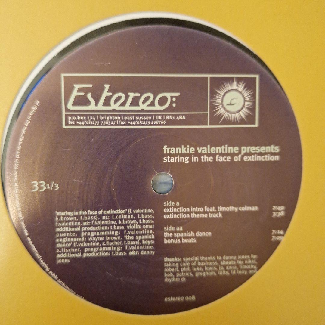 テクノ ジャジーハウス系 レコード 10枚セット