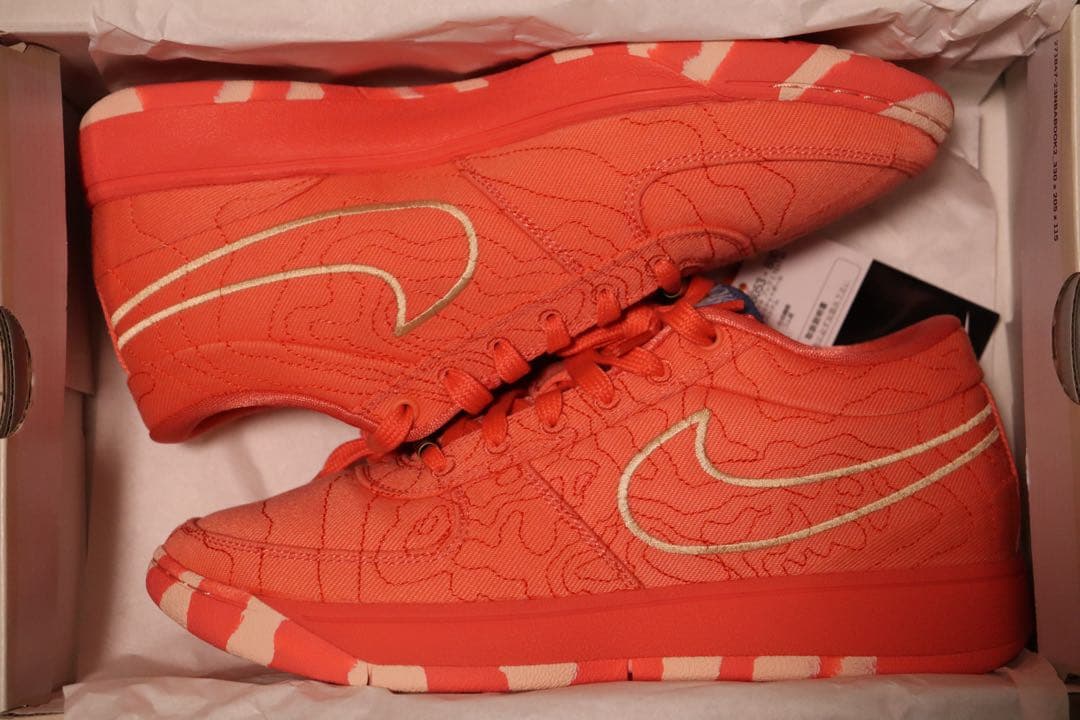 Nike ブック 1 \"Sedona\" EP 26.5cm