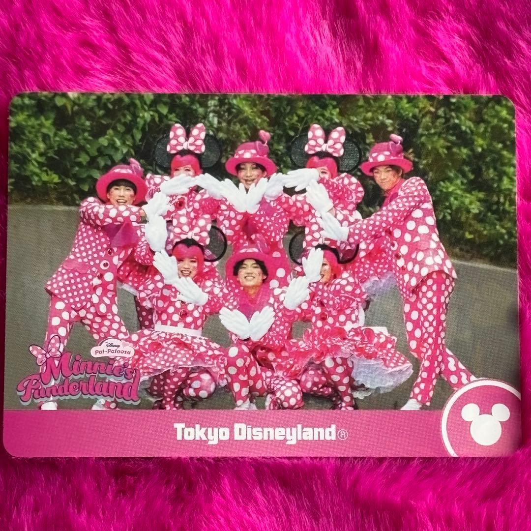 ディズニーコレクションカード ミニーファンダーランド ミニファン