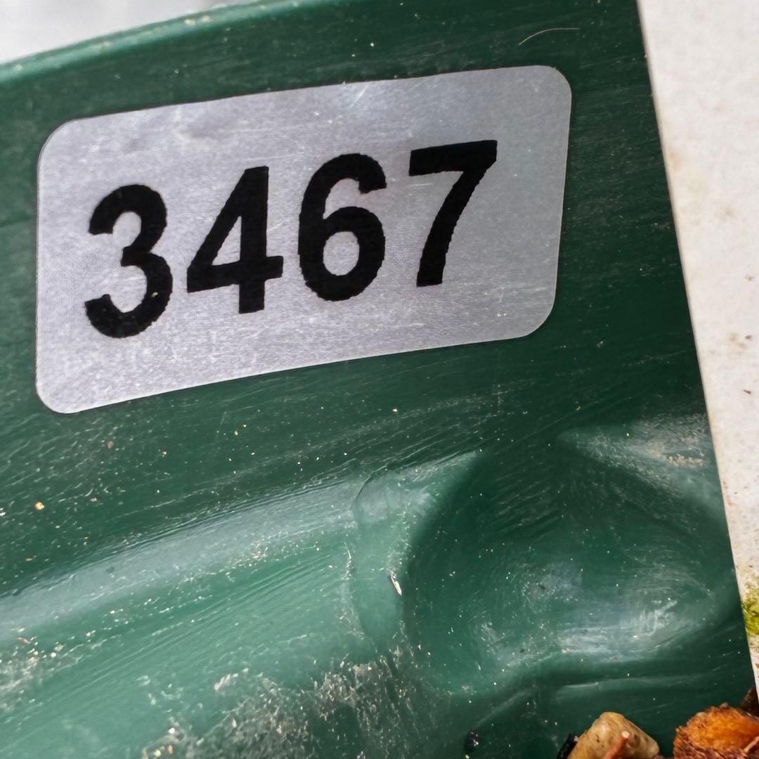 u*0様 3467☘️極上☘️花タグ付☘️強香⭐️かぐや姫⭐️フレグランスオーレ