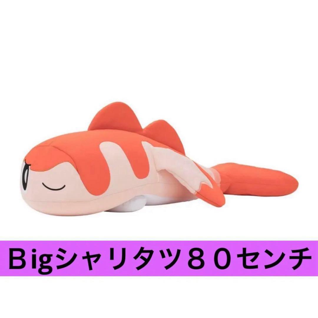新品】ポケモンシャリタツ・ぎゅっと抱っクッション・シャリタツ・そっ