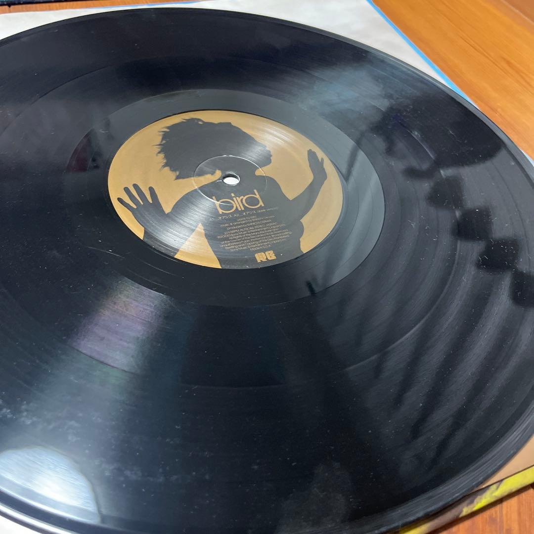 bird「空の瞳」バード レコード Latin Edition 4枚セット