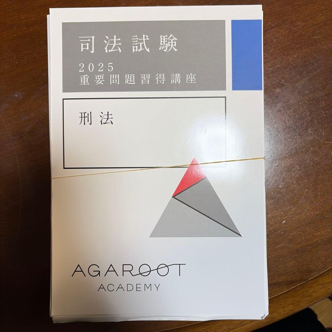 司法試験 2025 刑法 重要問題児習得講座 断裁済 司法試験の問題と解説2025｜日本評論社