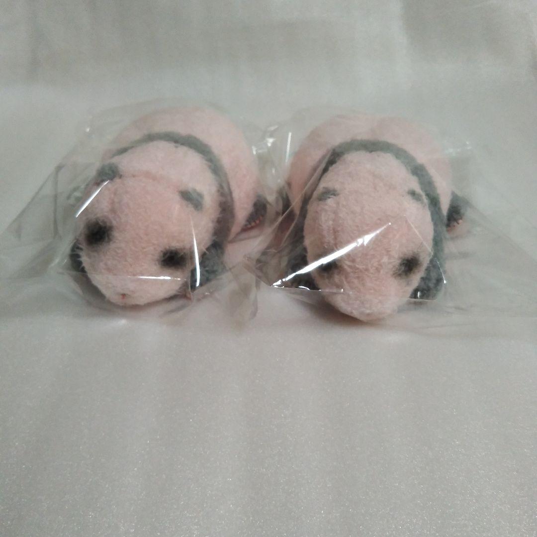 上野動物園 パンダ ぬいぐるみ ほんとの大きさパンダの仔 暁暁 蕾蕾