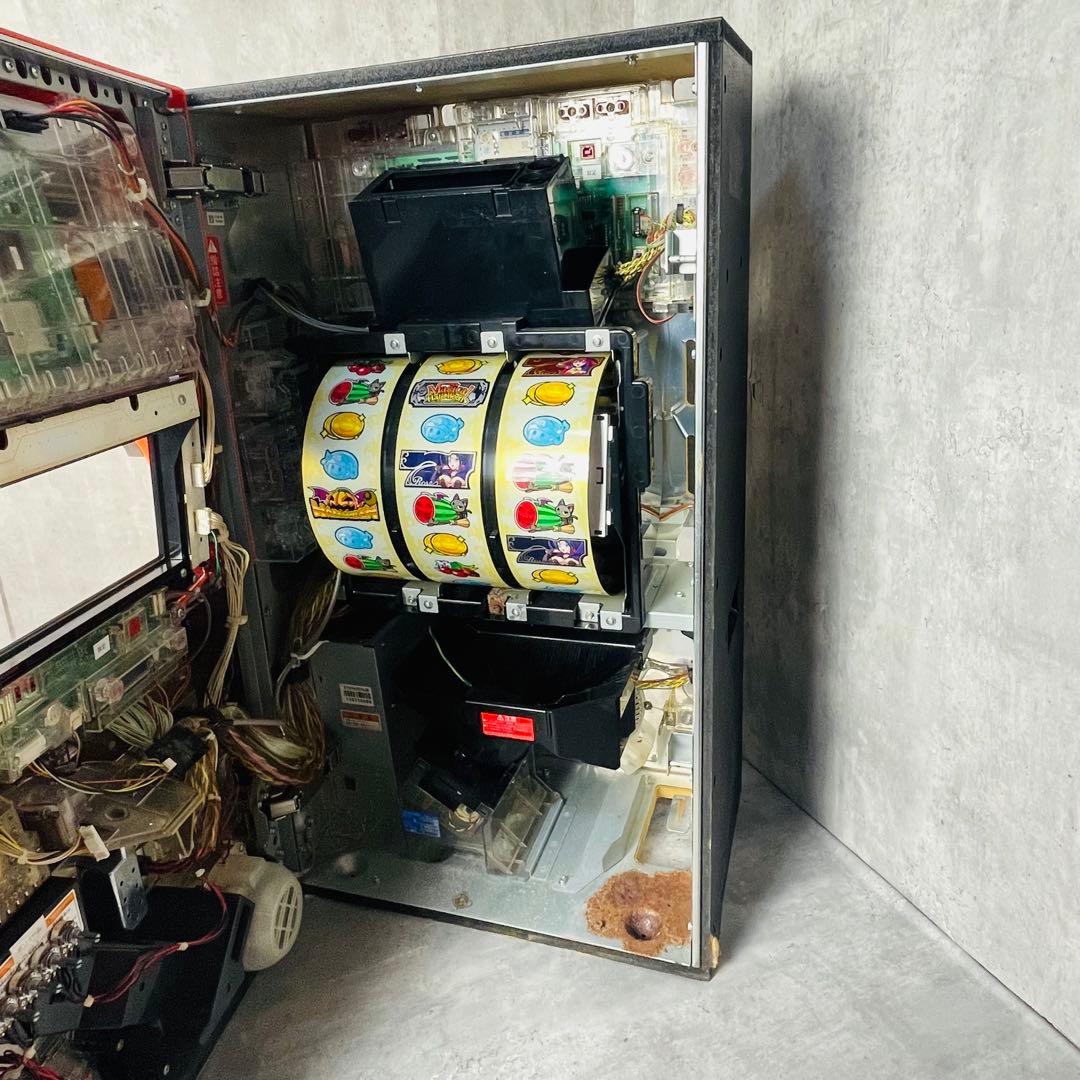 パチスロ実機 5号機 マジカルハロウィン5 コイン不要 スロット