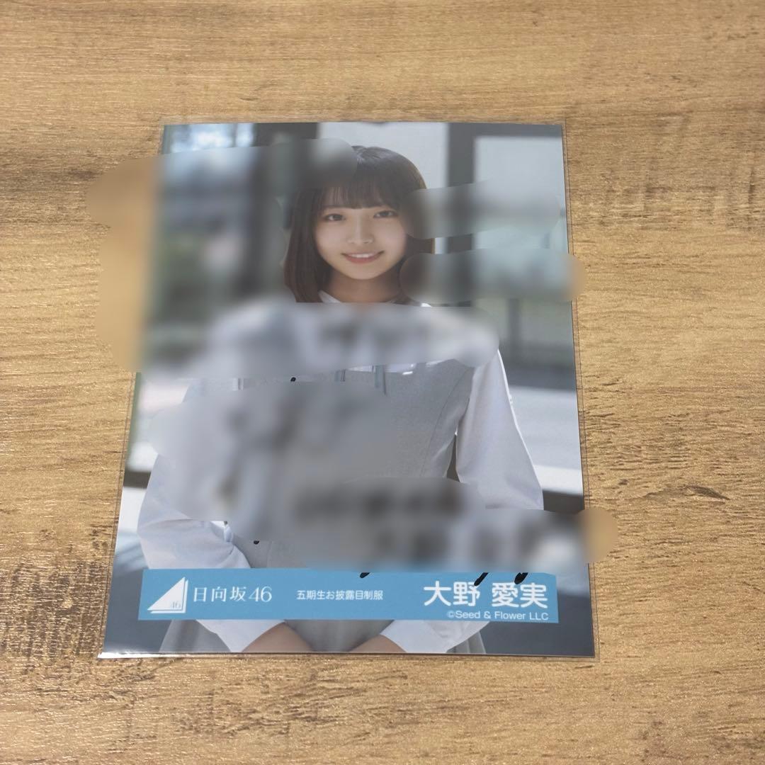 即購入可 大野愛実 直筆 日向坂 大野愛実 直筆サインチェキ プレゼント応募券 週刊少年マガジン