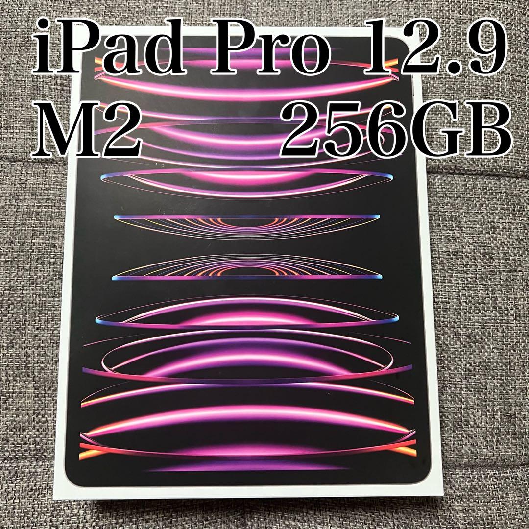 【訳あり】iPad Pro 12.9 第6世代 256GB スペースグレー 12.9インチiPad Pro Wi-Fi 256GB - スペースグレイ（第6世代）[整備済