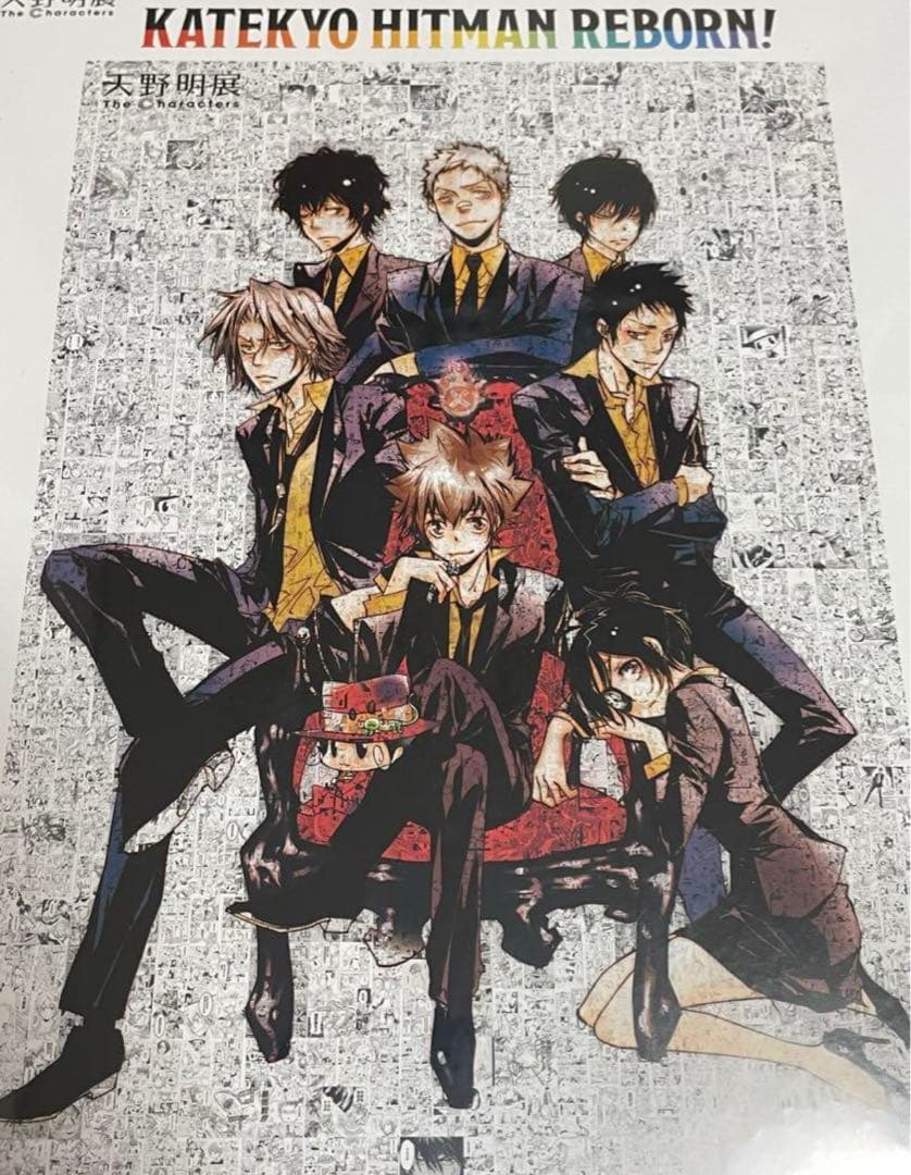 天野明展 家庭教師ヒットマンREBORN モザイクアートパズル - メルカリ