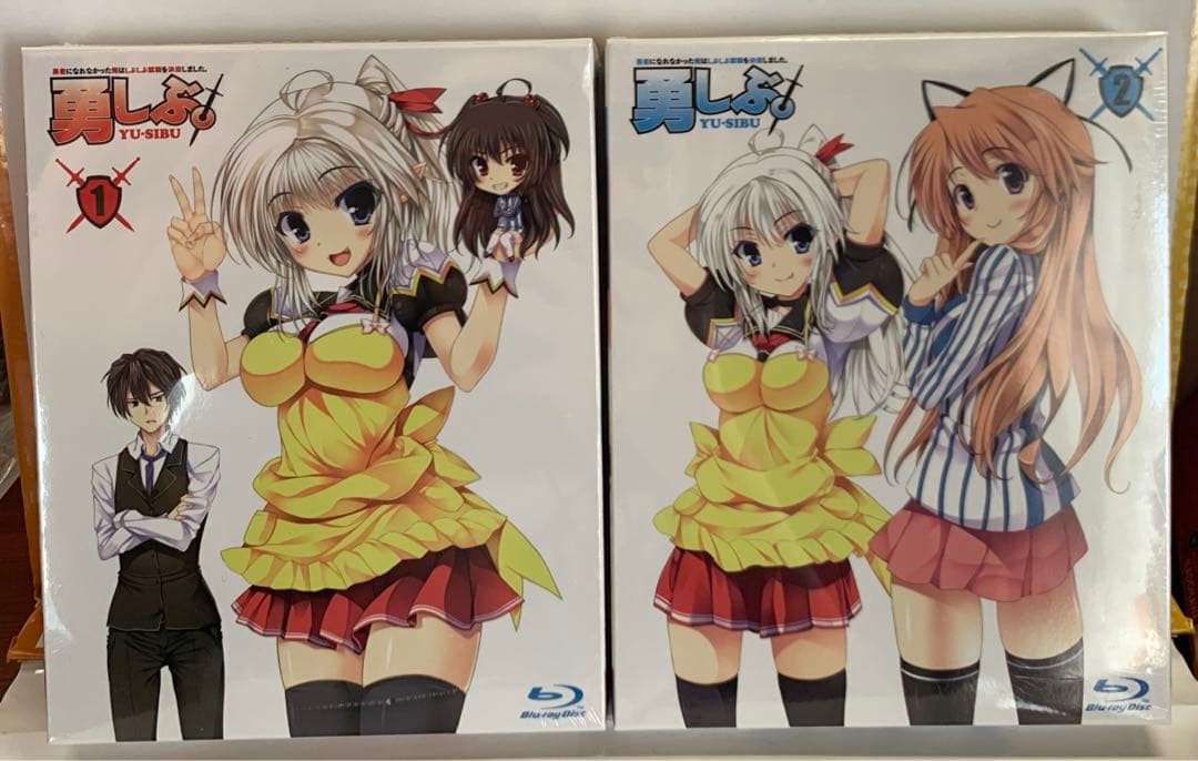 勇者になれなかった俺はしぶしぶ就職を決意しました。 〈限定版〉6巻セット