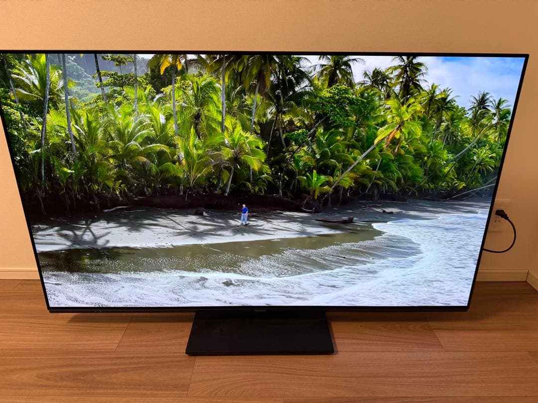 2023年製55インチ パナソニック4K有機ELテレビ VIERA保証書付 - メルカリ