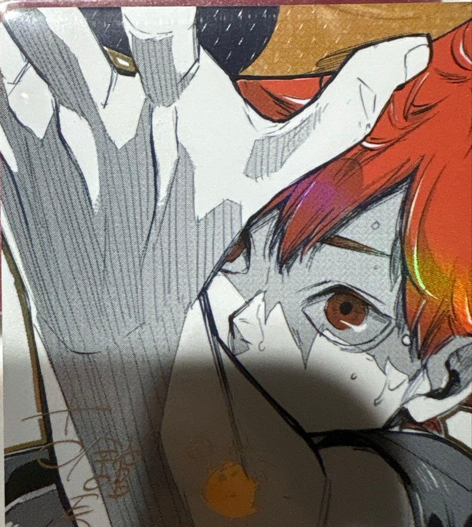 バボカ　日向　翔陽　極P　HV-P01-004