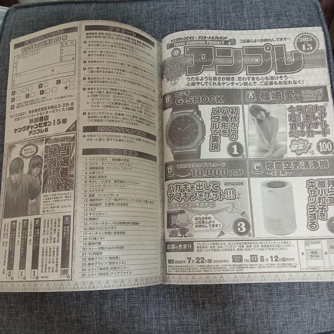 ヤングチャンピオン2025・NO．15（クリアファイル無し）