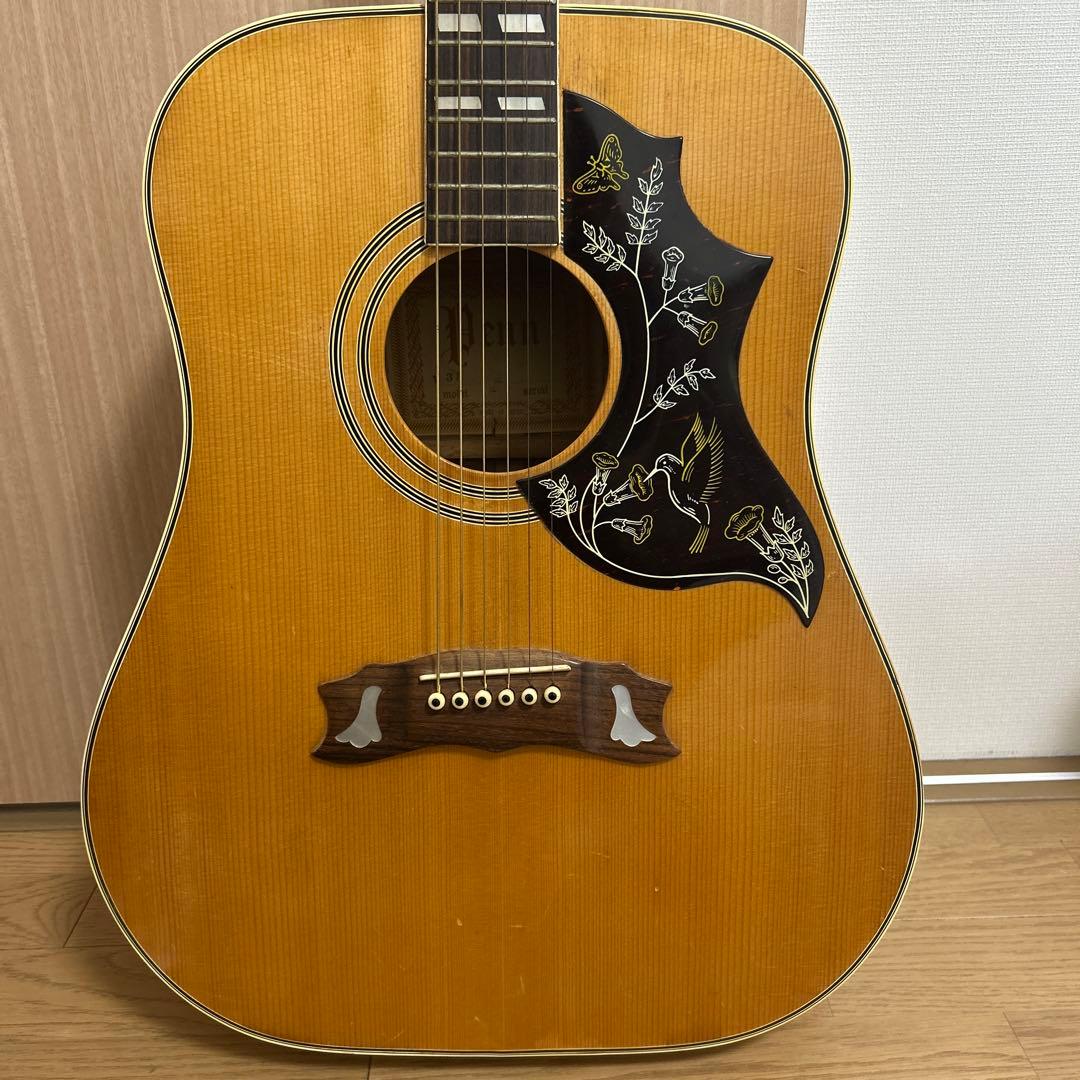 レア品】pro martin w-35 アコースティックギター ピックガード付