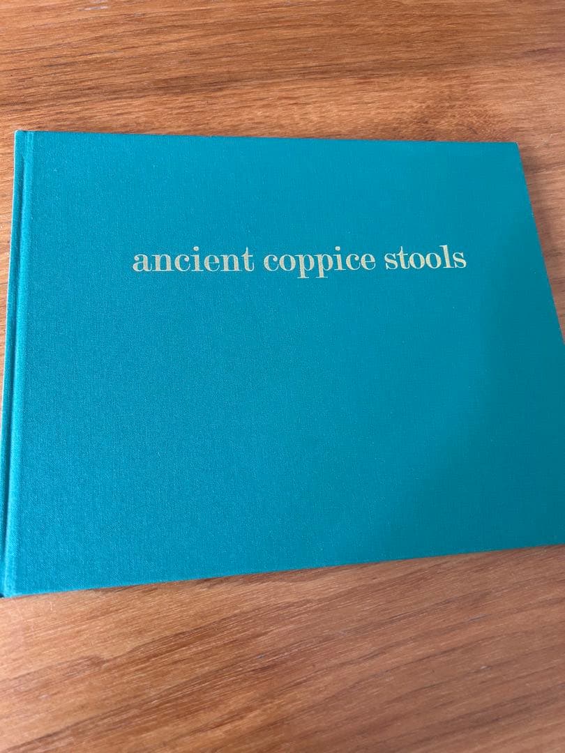 ポールハーデン paulharnden 100部限定　写真集 楽天市場】ポール ハーデンの通販