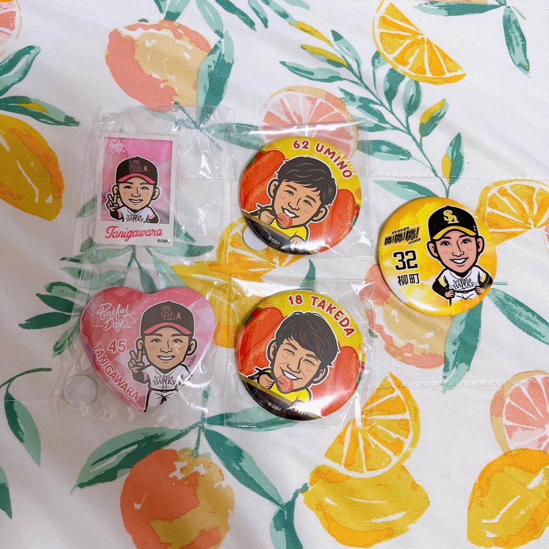 ソフトバンクホークス 若鷹ガチャ 缶バッジ 柳町 武田 海野 谷川原