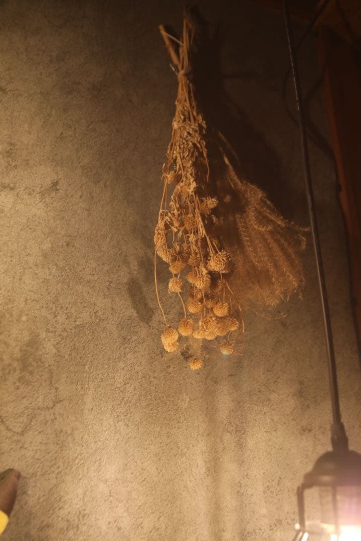 SIGMA 17-35mm F2.8-4 DG HSM (キヤノン用)