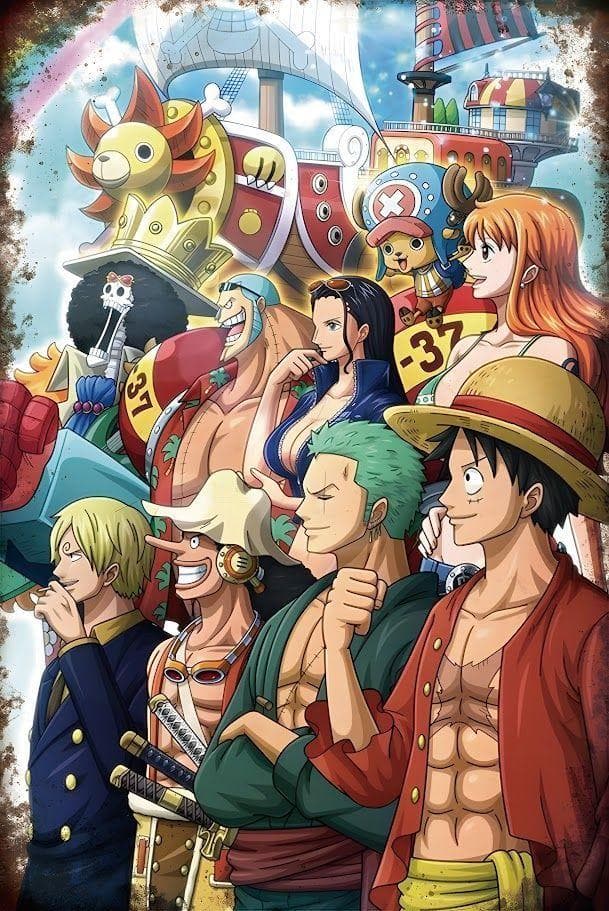 新品 ワンピース ルフィ ゾロ ナミ チョッパー サンジ ウソップ ロビン