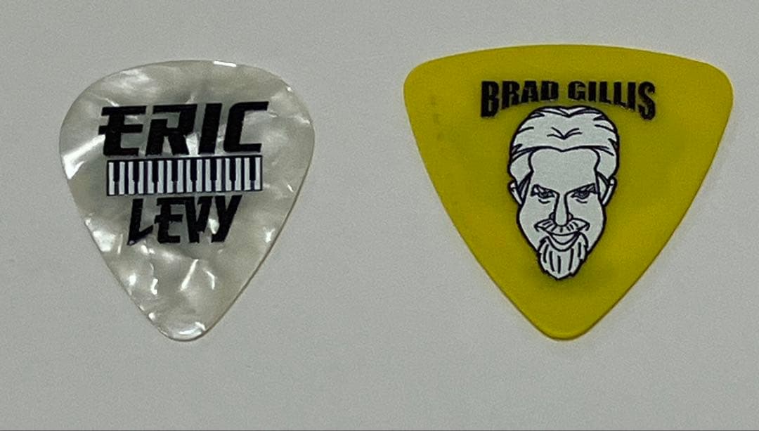 Night Ranger FAREWELL JAPAN 2025 ギターピック NIGHT RANGER【公演終了】 :: Upcoming6