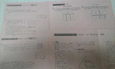 サピックス SS特訓＊6年＊算数／桜蔭 対策プリント＊全49回完全版