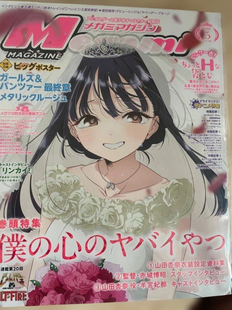 僕の心のヤバいやつ