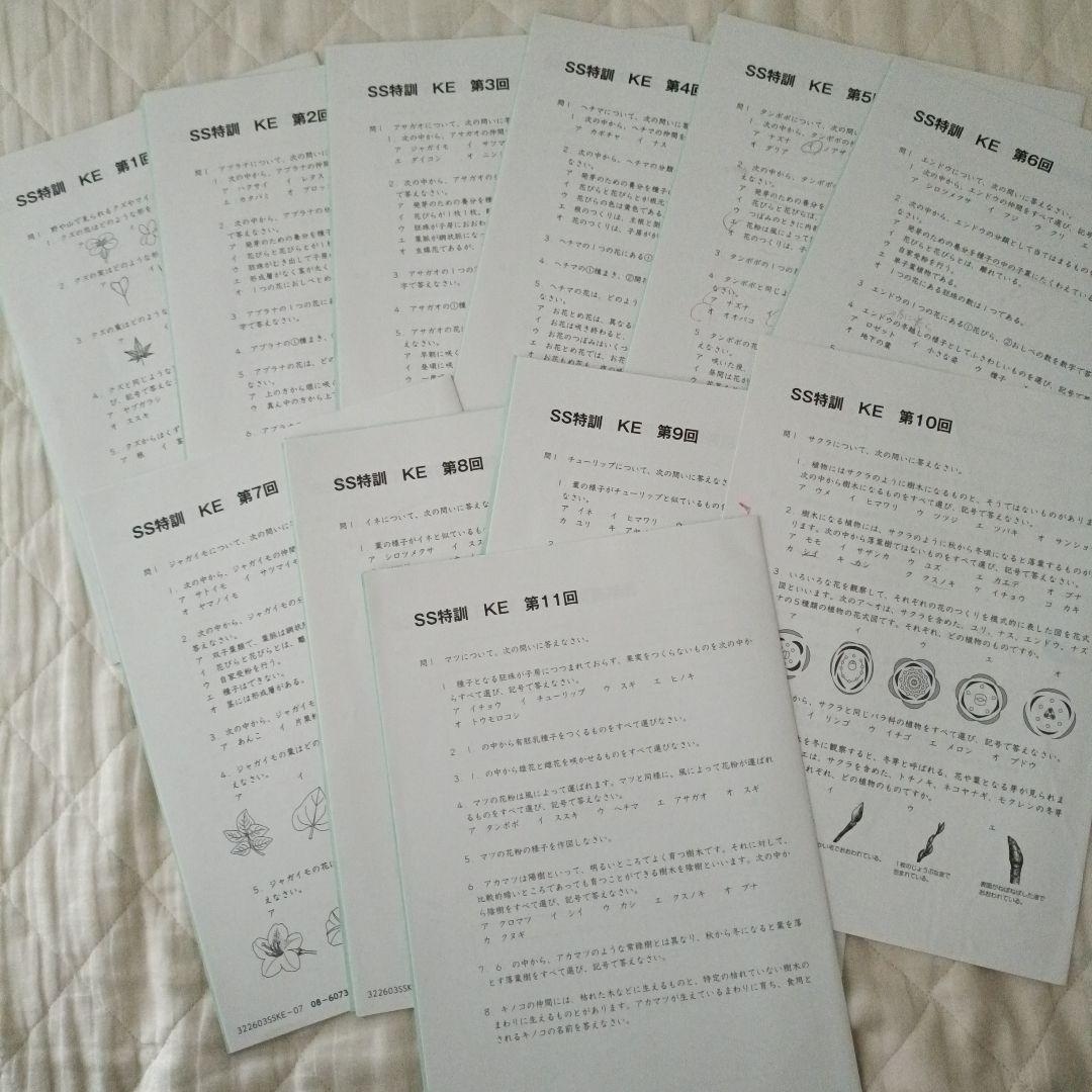 サピックス 理科 6年 KEプリント SS特訓 慶應 SAPIX - メルカリ