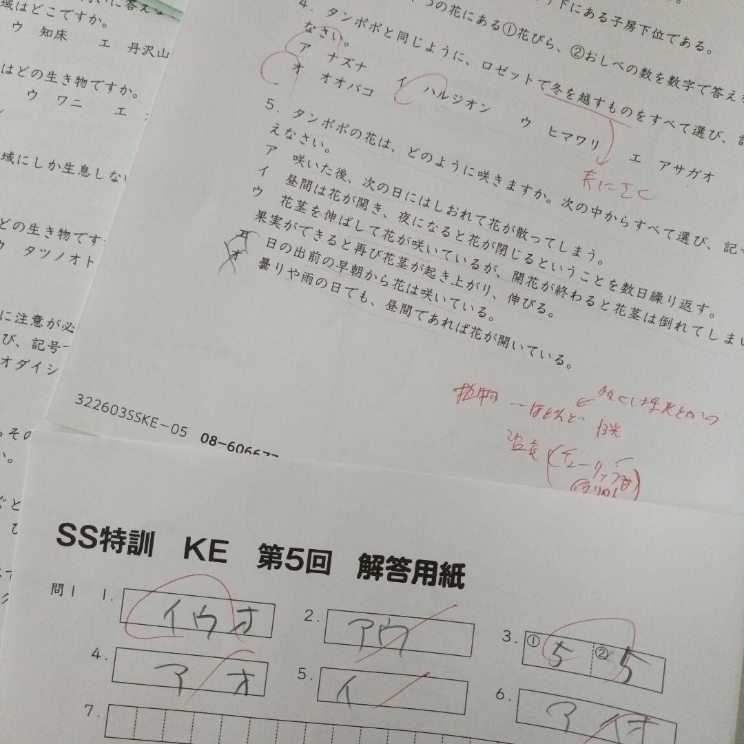 サピックス 理科 6年 KEプリント SS特訓 慶應 SAPIX - メルカリ