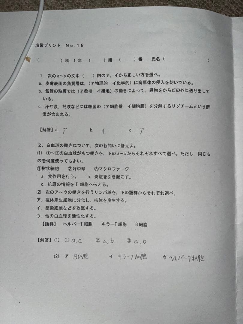 りか NVIDIA、329ドルの「GeForce RTX 3060」発表 - 新定番を掲げるミドル