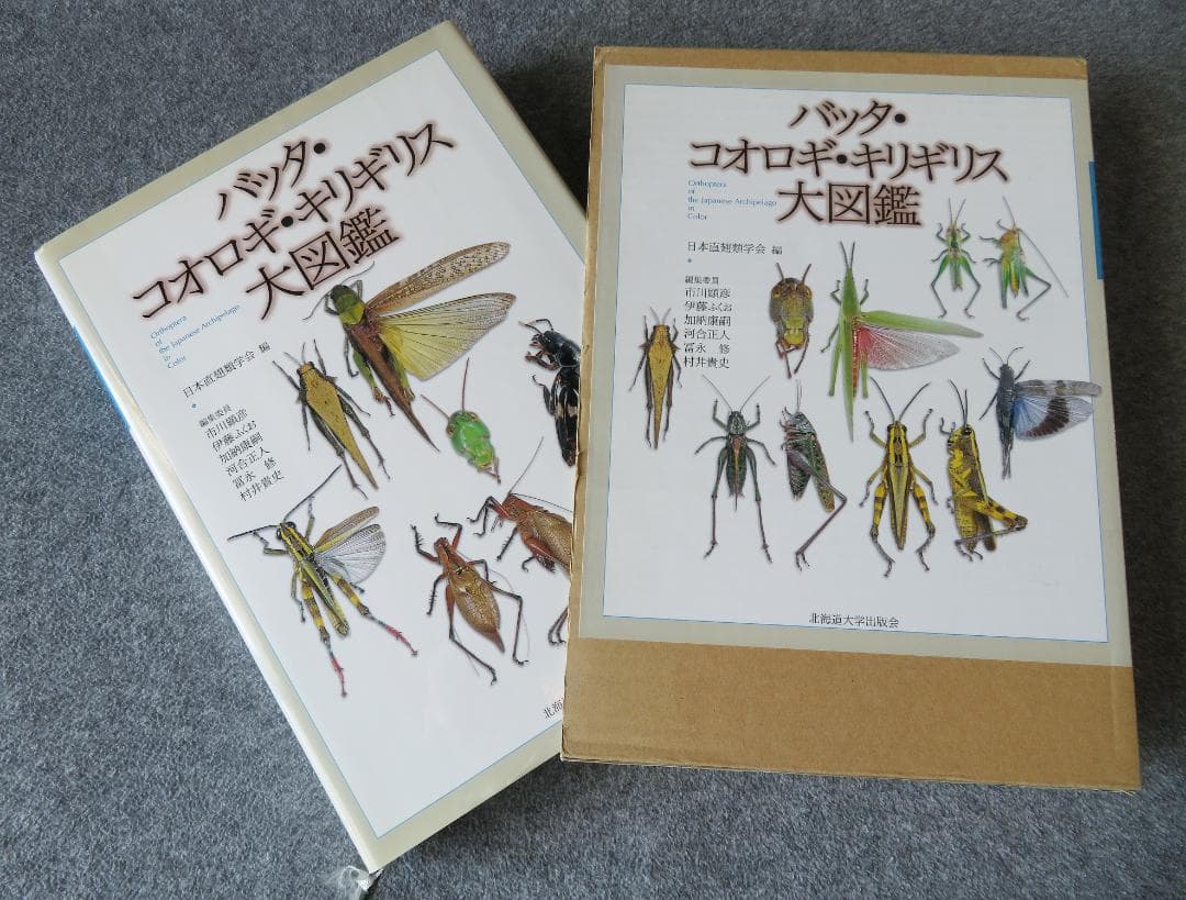 バッタ・コオロギ・キリギリス大図鑑 Amazon.co.jp: バッタ・コオロギ・キリギリス大図鑑 : 日本直翅類学会