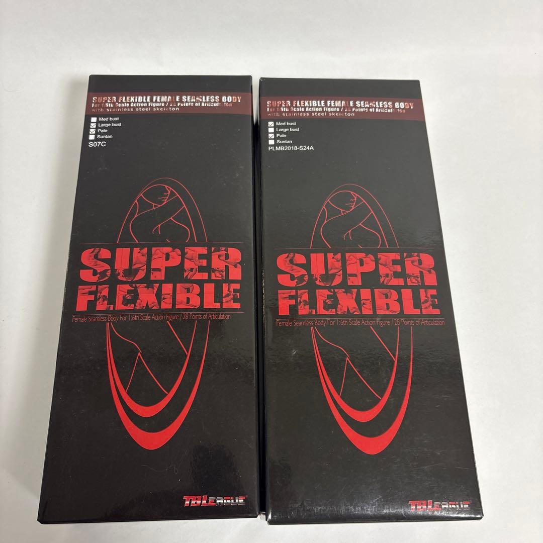 1/6フィギュアTBleague2体セット