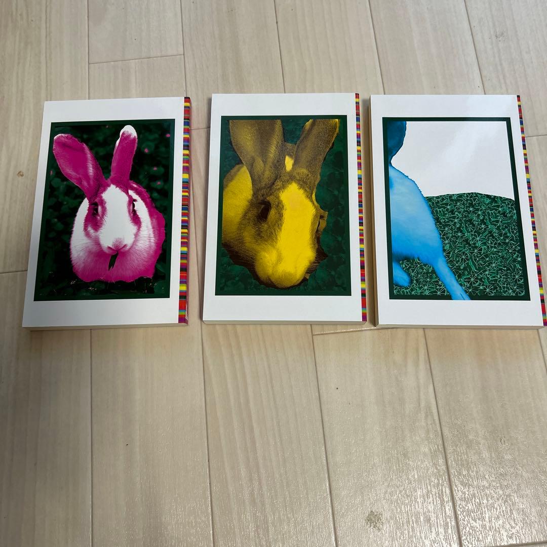 美品】小沢健二「うさぎ！」本 3冊セット - メルカリ