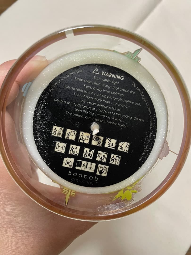 キャンドル　マイファーストバオバブ　マイアミ