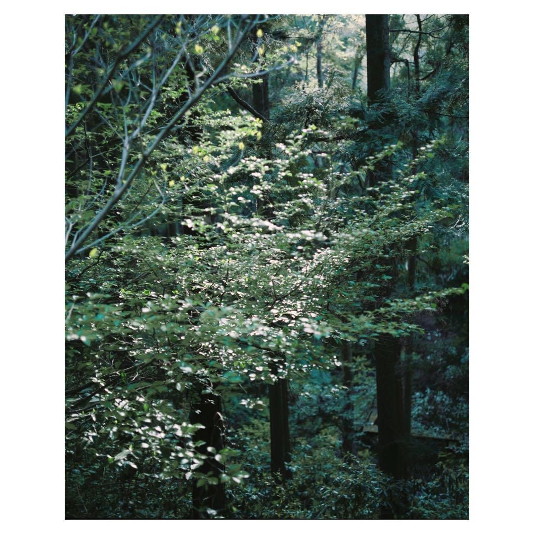 作例有】Plaubel Makina 67 1年前にOH オーバーホール済 - メルカリ