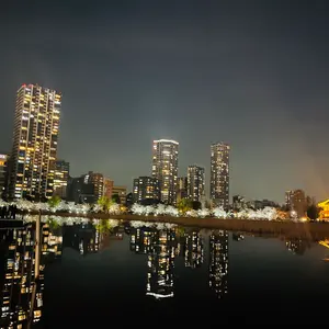 リシュブール ドメーヌ ドラ ロマネ・コンティ2011年 空瓶 - メルカリ