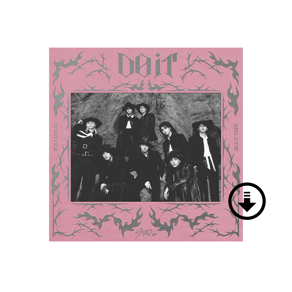 Do It - Stray Kids 스트레이 키즈 Official Store