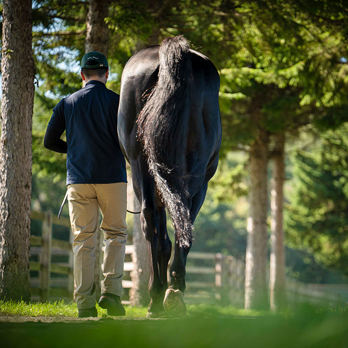 ギャラリー | LEX STUD（レックススタッド）